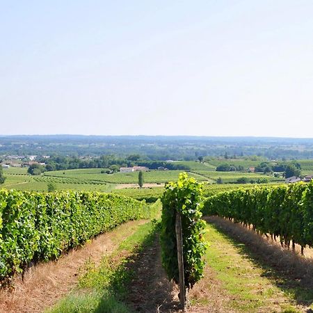 Clos Saint Sauveur - Guesthouse Au Coeur Des Vignes Sur Le Coteau エクステリア 写真