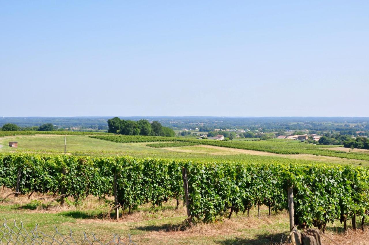 Clos Saint Sauveur - Guesthouse Au Coeur Des Vignes Sur Le Coteau エクステリア 写真